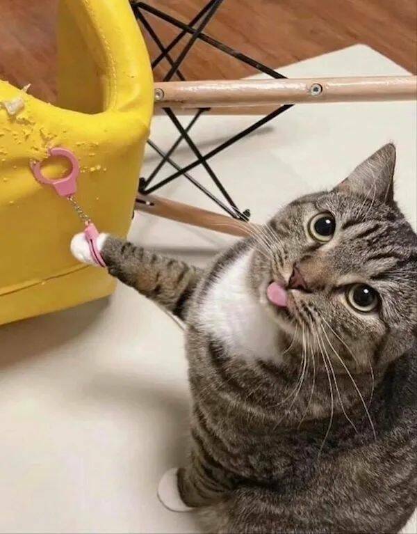 Daily Pictures. Part 1 (74 pics)