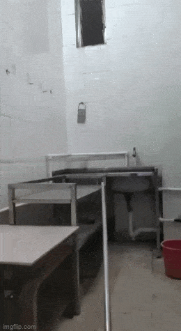 Acid GIFs, September 20 (25 gifs)