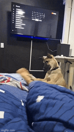 Acid GIFs, September 20 (25 gifs)