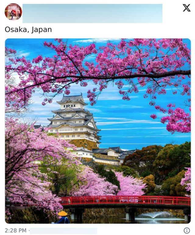 Cool Photos From Japan (26 pics)