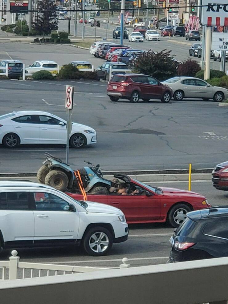 Daily Pictures. Part 1 (73 pics)