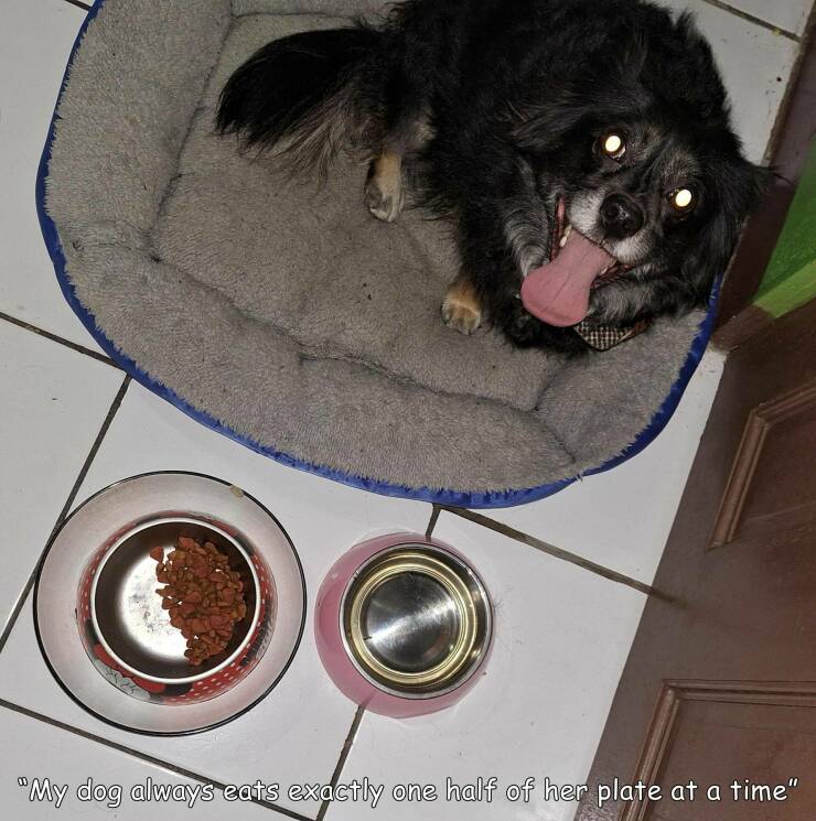 Daily Pictures. Part 1 (73 pics)