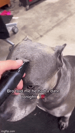 Acid GIFs, September 27 (25 gifs)