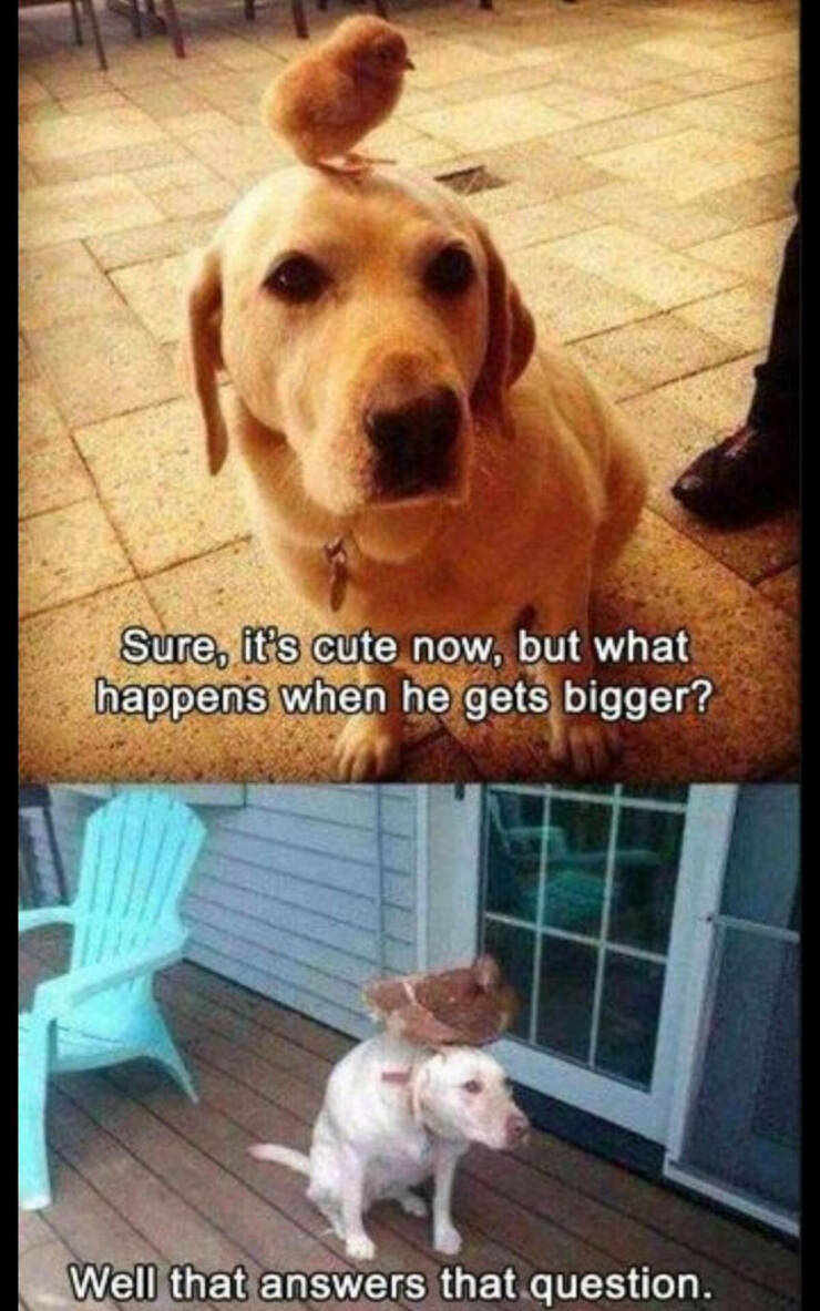 Daily Pictures. Part 2 (71 pics)