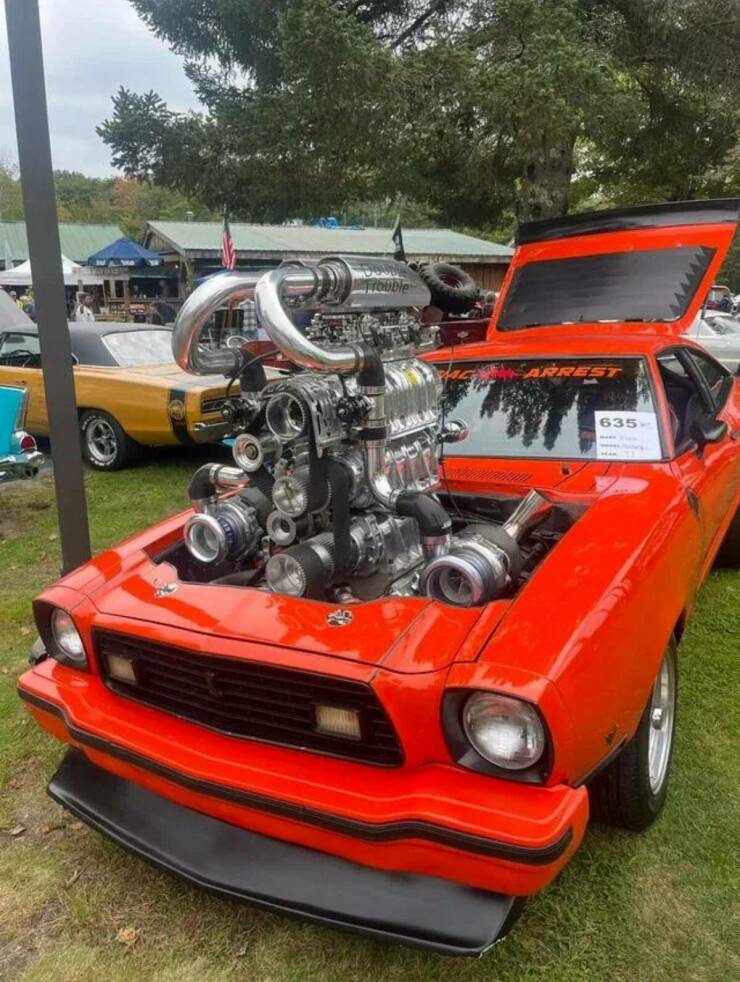Daily Pictures. Part 2 (71 pics)