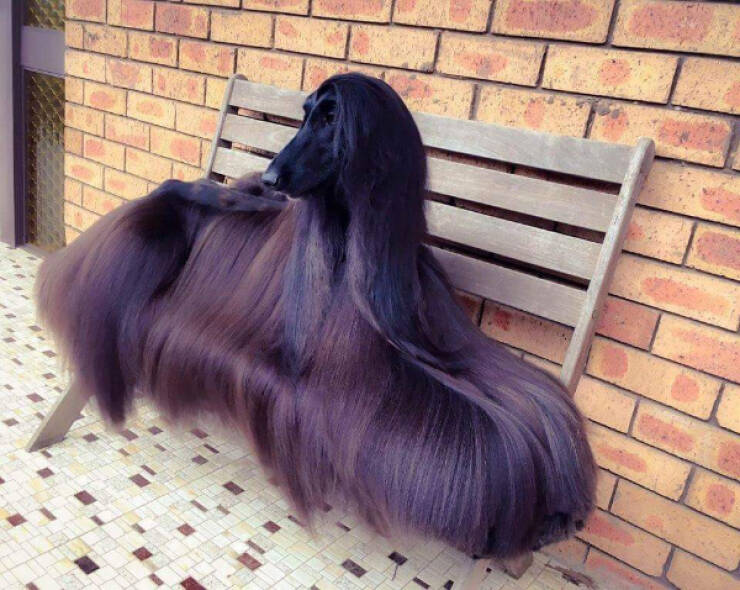 What Is Going On Here? (28 pics)