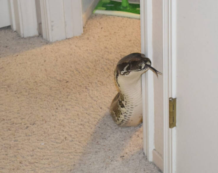 What Is Going On Here? (28 pics)