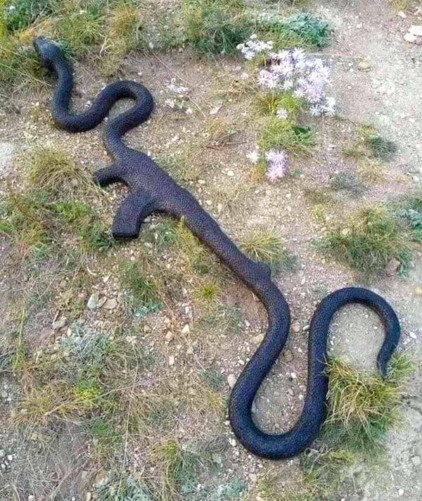 What Is Going On Here? (28 pics)
