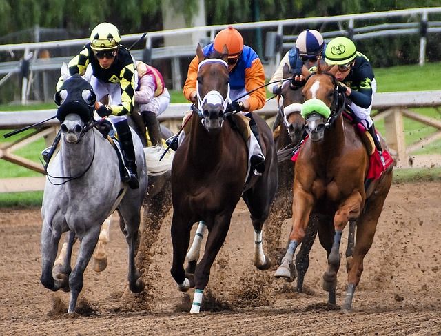 Betting on Horse Racing: Everything Beginners Need