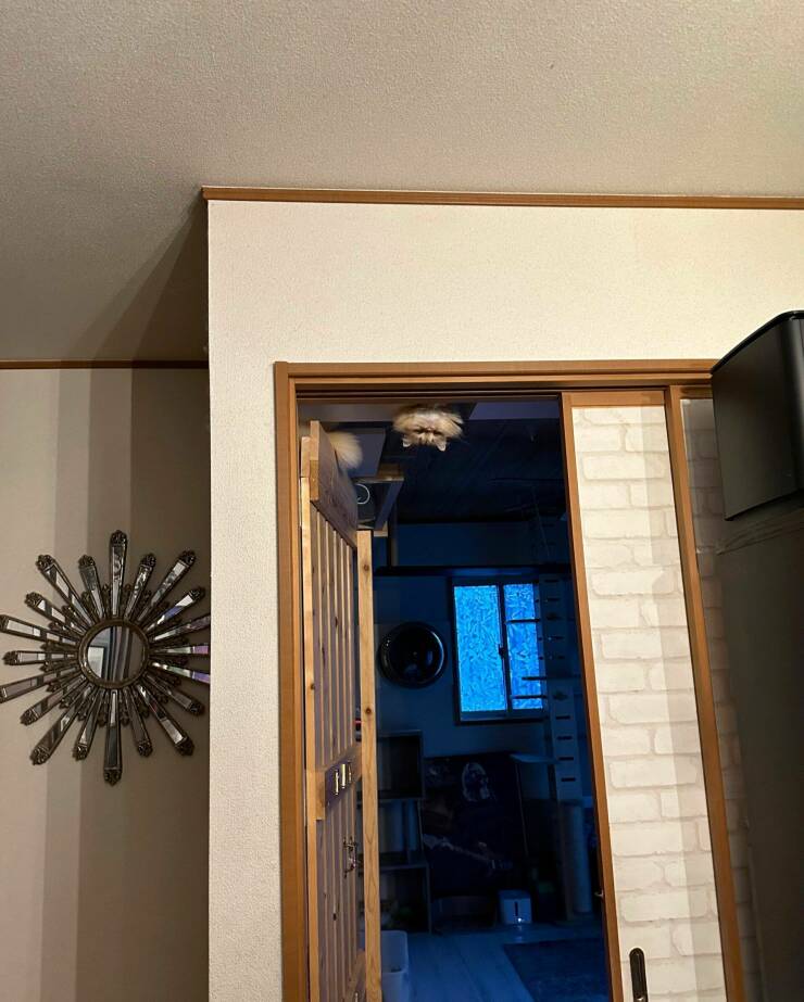 Daily Pictures. Part 1 (74 pics)