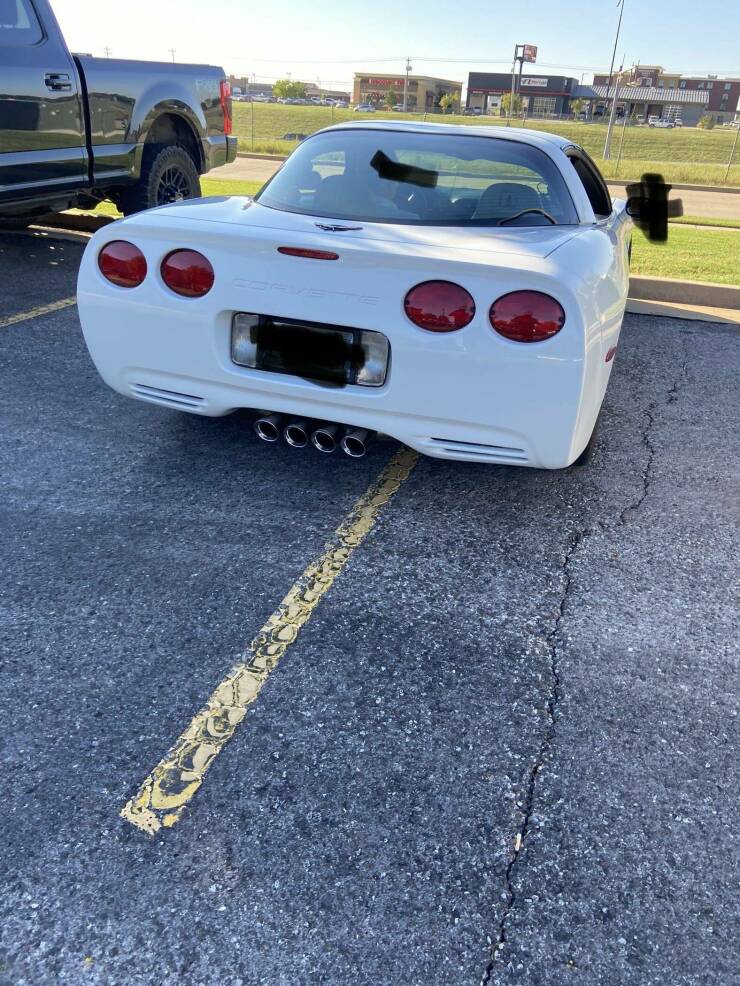 Daily Pictures. Part 1 (74 pics)