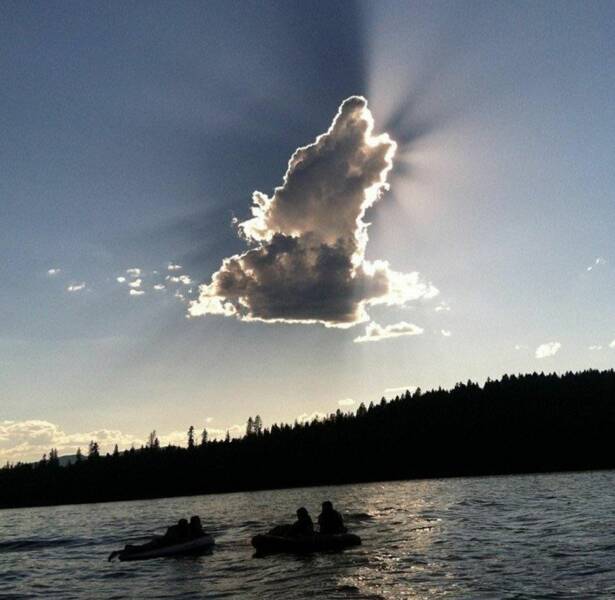 Daily Pictures. Part 1 (74 pics)