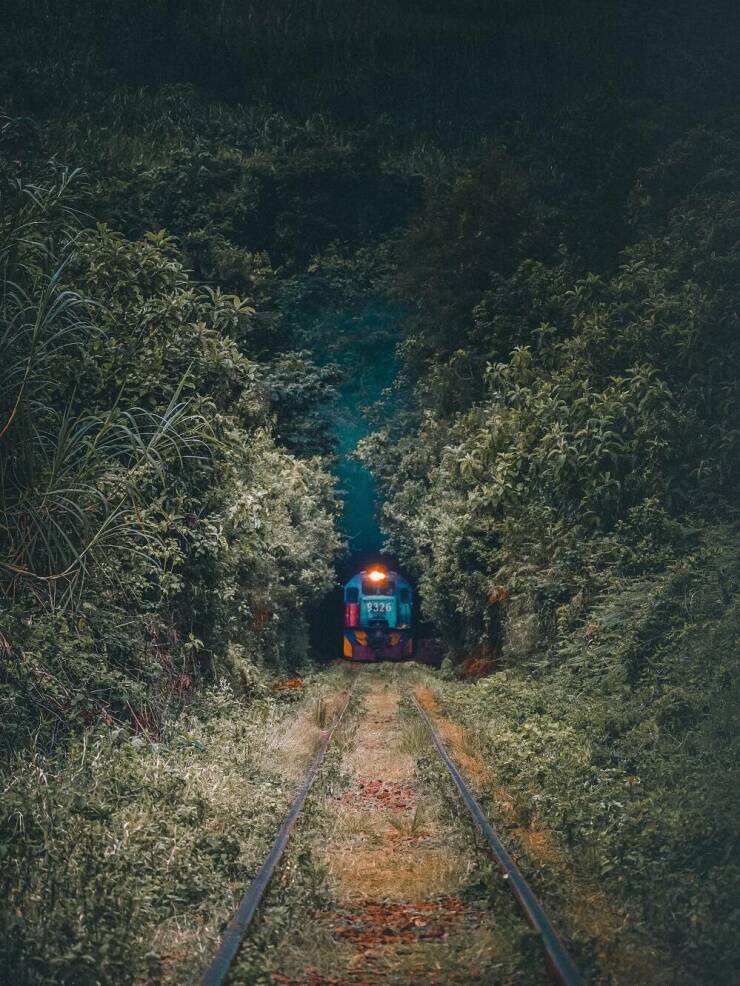 Daily Pictures. Part 2 (72 pics)