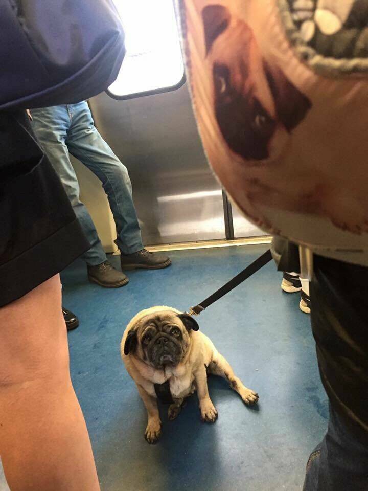 Daily Pictures. Part 2 (78 pics)