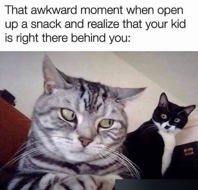 Memes For Parents (24 pics)