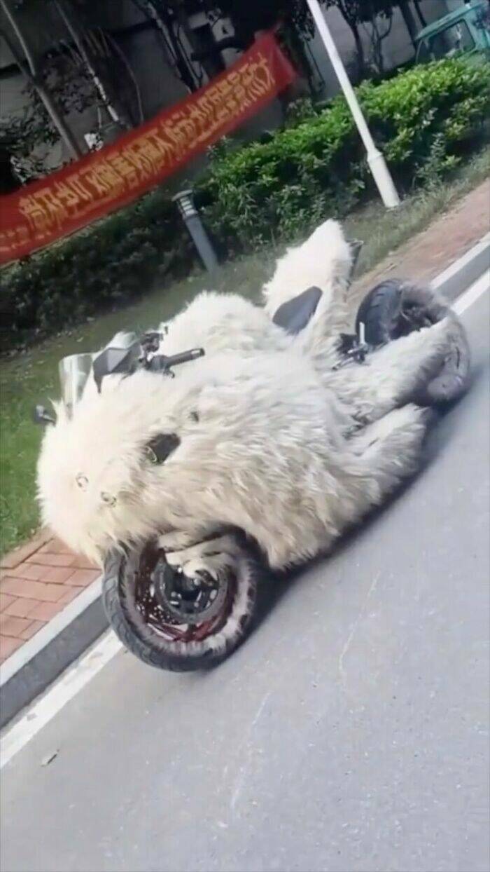 Weird Designs (22 pics)