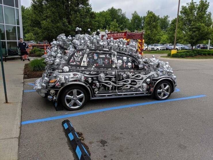Wild Tuning (20 pics)