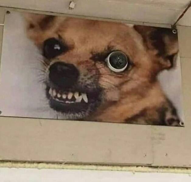 Weird Designs (22 pics)