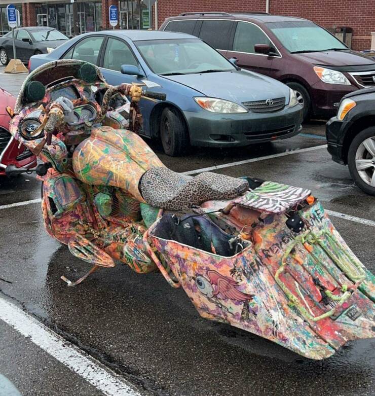Wild Tuning (20 pics)