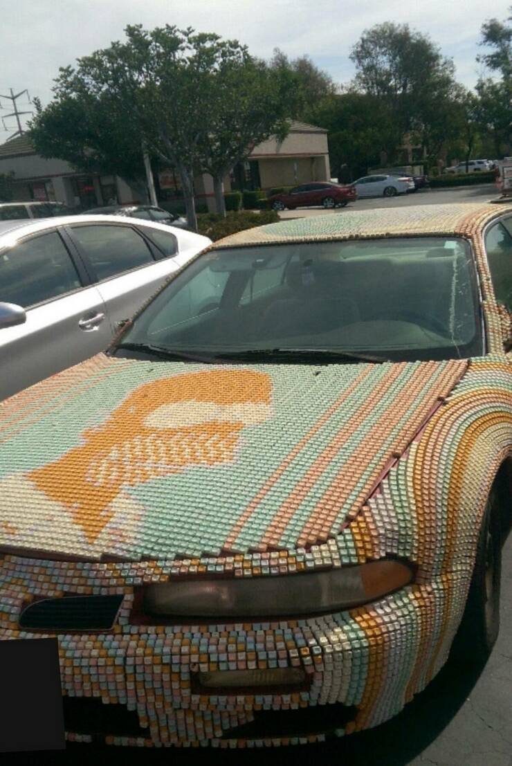 Wild Tuning (20 pics)