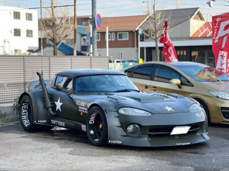 Wild Tuning (20 pics)