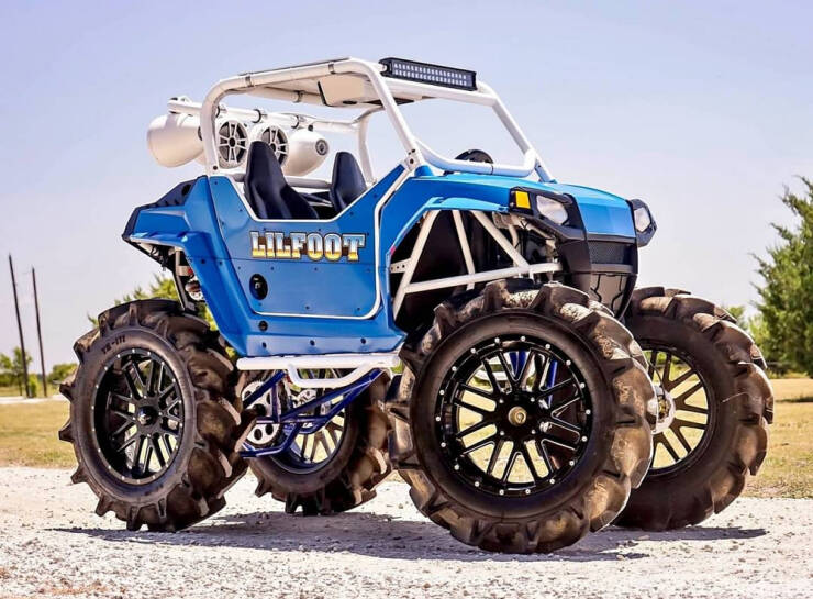 Wild Tuning (20 pics)