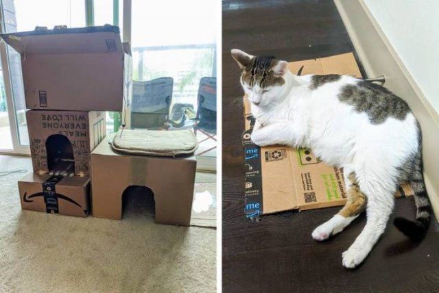 They Love Their Gifts (24 pics)