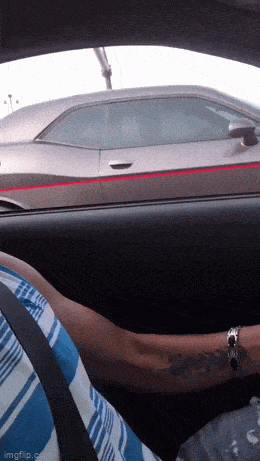 Acid GIFs, October 6 (25 gifs)