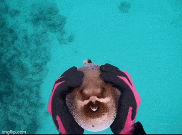 Acid GIFs, October 6 (25 gifs)