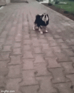 Acid GIFs, October 6 (25 gifs)