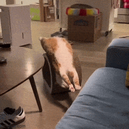 Acid GIFs, October 6 (25 gifs)