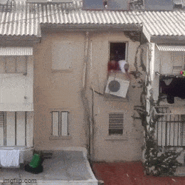 Acid GIFs, October 6 (25 gifs)