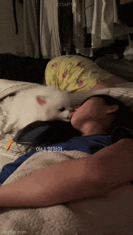 Acid GIFs, October 6 (25 gifs)