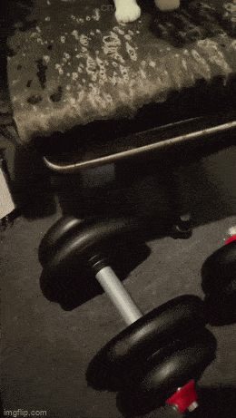 Acid GIFs, October 6 (25 gifs)