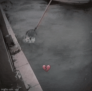 Acid GIFs, October 6 (25 gifs)