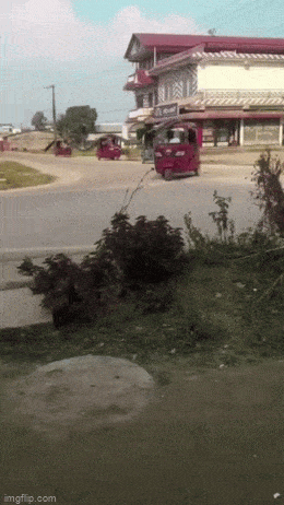 Acid GIFs, October 9 (25 gifs)