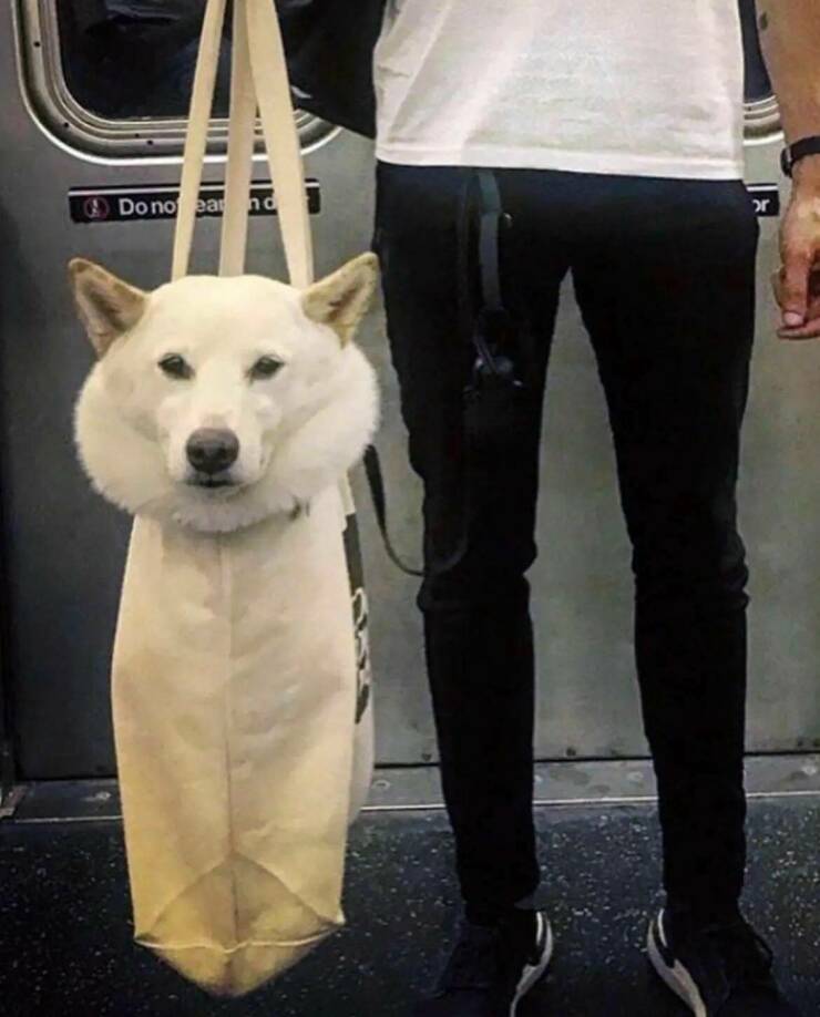 Daily Pictures. Part 1 (69 pics)
