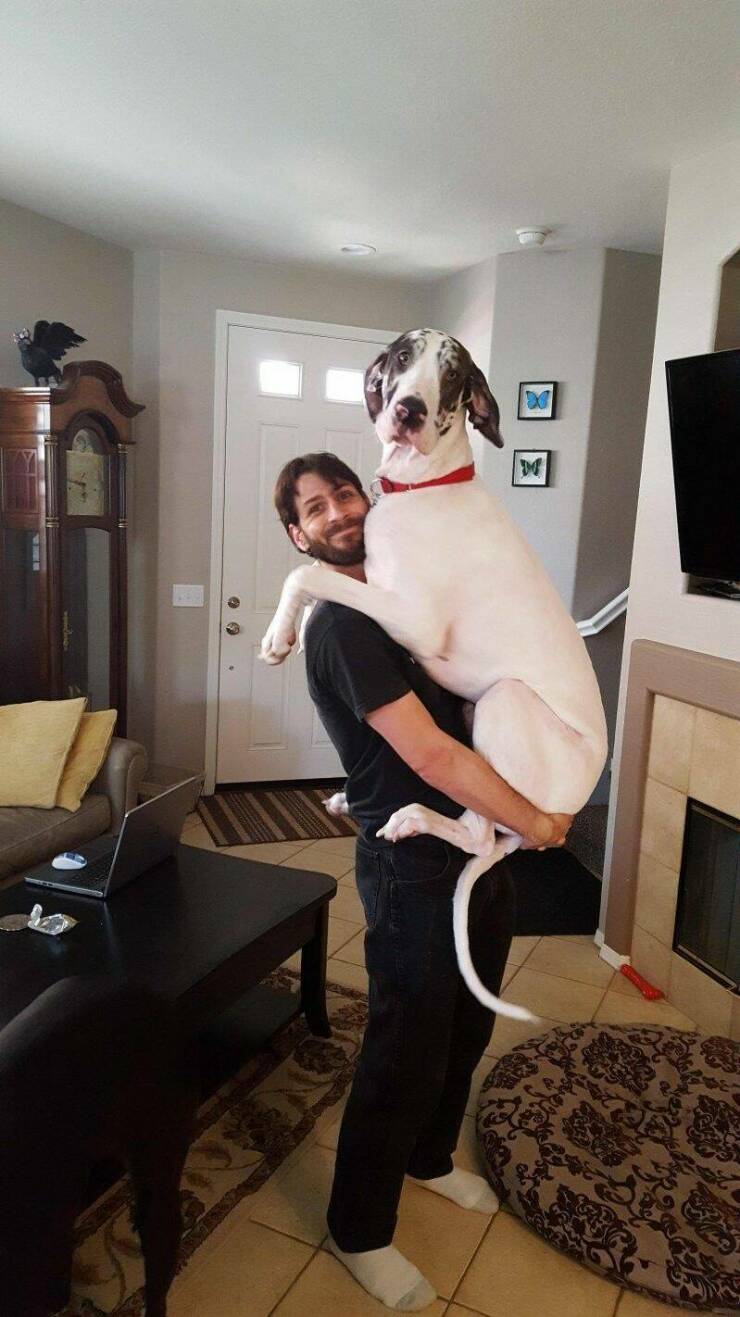 Daily Pictures. Part 1 (69 pics)