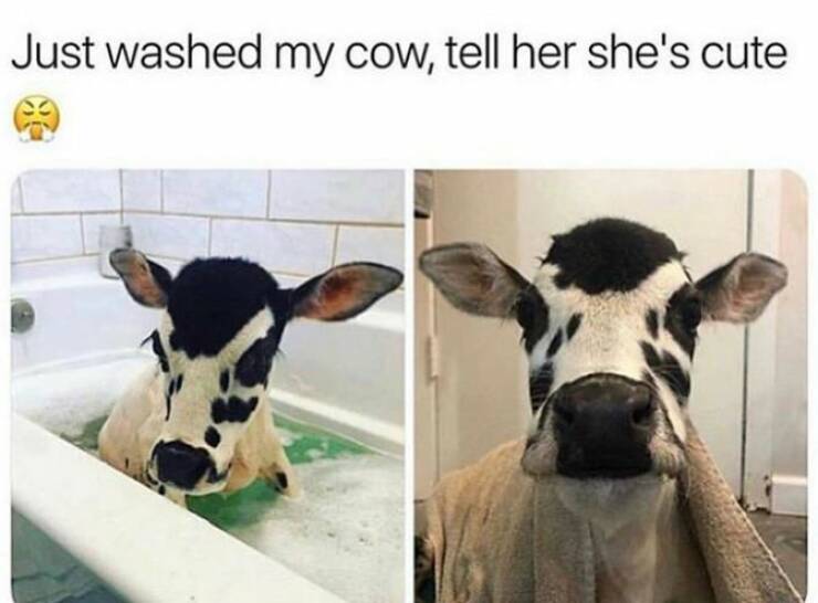 Daily Pictures. Part 1 (74 pics)