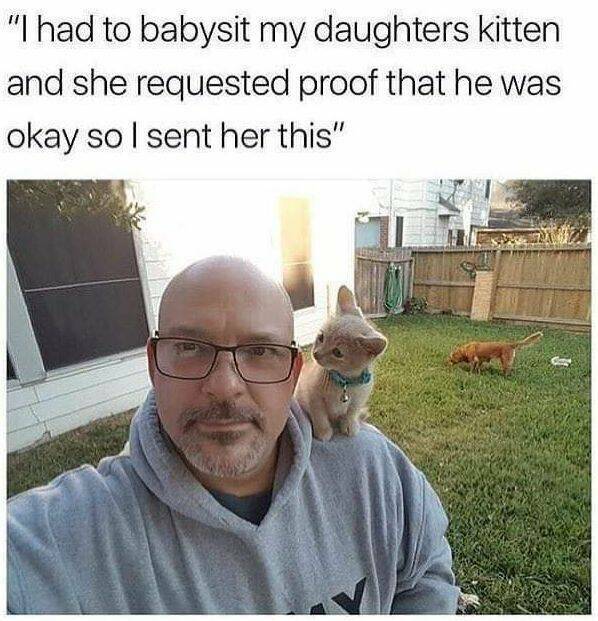 Daily Pictures. Part 1 (74 pics)