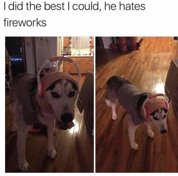 Daily Pictures. Part 1 (67 pics)