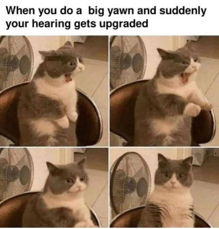 Daily Pictures. Part 2 (69 pics)