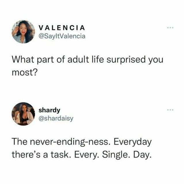 Truthful Memes (21 pics)