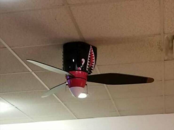 Unusual Things (15 pics)