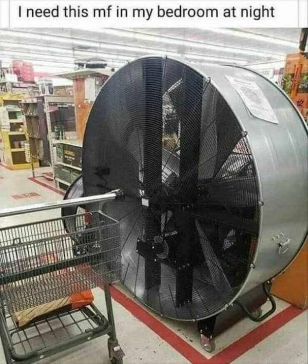 Unusual Things (15 pics)