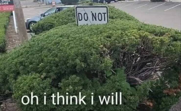 Daily Pictures. Part 2 (70 pics)