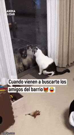 Acid GIFs, October 16 (25 gifs)
