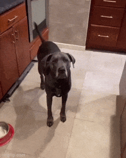Acid GIFs, October 16 (25 gifs)