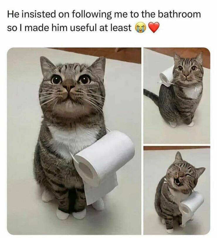 Daily Pictures. Part 1 (73 pics)