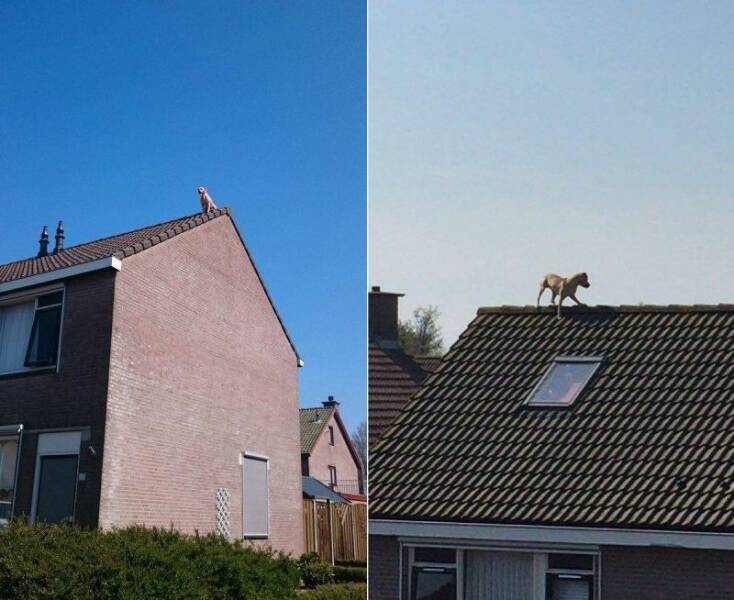 Daily Pictures. Part 1 (77 pics)